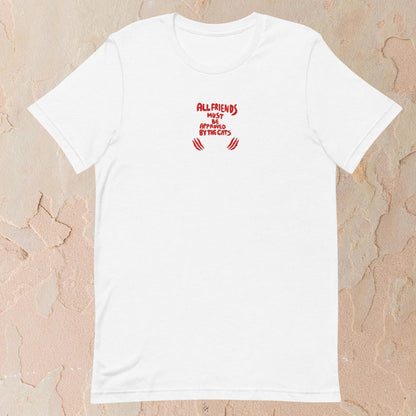 Funny Cat Shirt Graphic Quote Tee for Cat Lovers