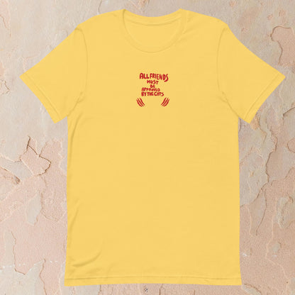 Funny Cat Shirt Graphic Quote Tee for Cat Lovers